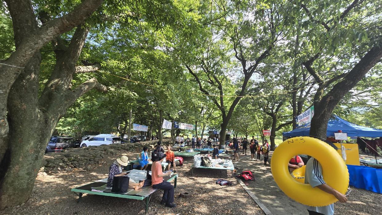 계곡 불법시설·상행위 단속(화순 한천면 동가리계곡).jpeg