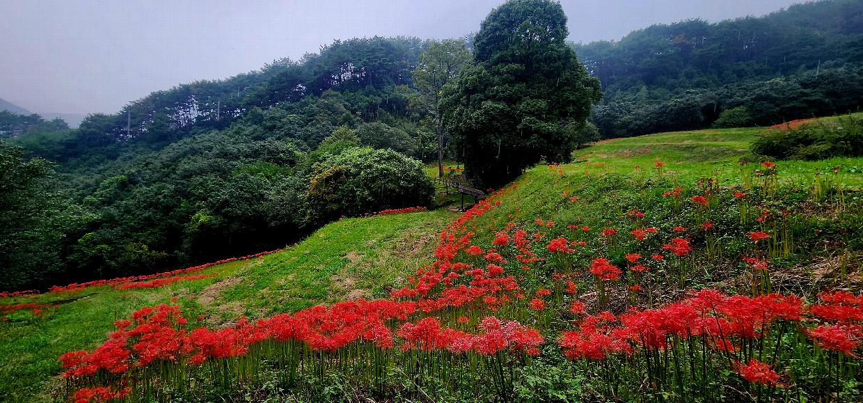 3 광양시 추석 연휴 어디로 갈까 광양에서 걷고 머물며 가을 만끽 관광과(현장사진1).jpg