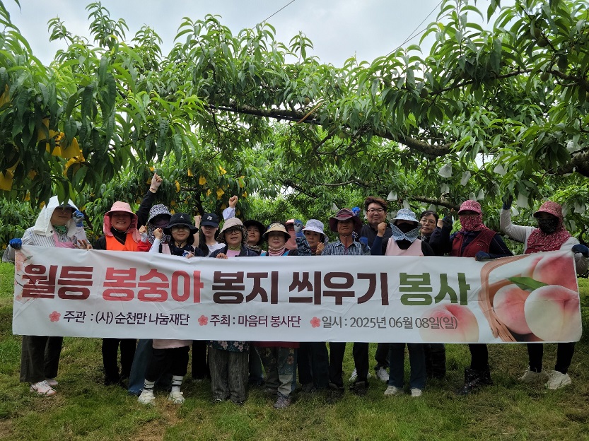 초여름 복숭아밭에서 만난 나눔의 기쁨...  순천만나눔재단 마음터봉사단